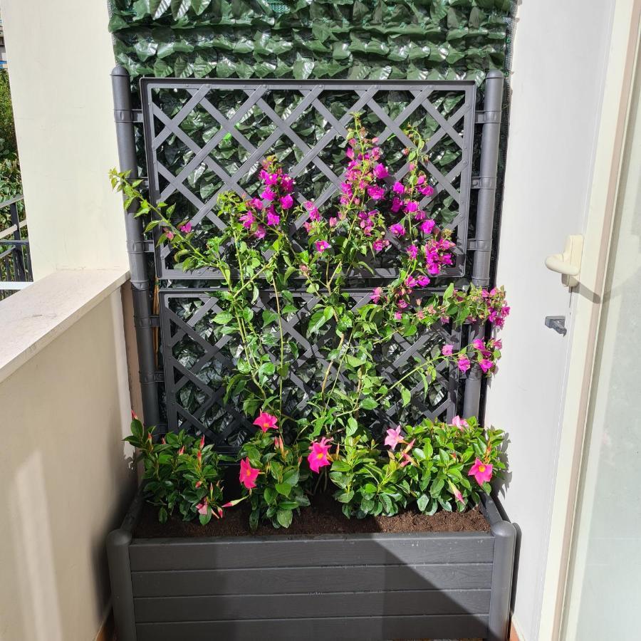 Maison Flavia Sorrento Eksteriør billede